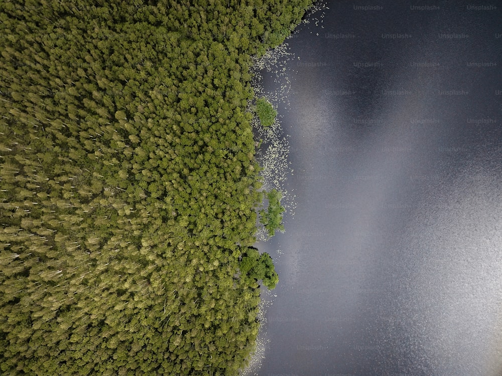 an aerial view of a body of water surrounded by trees