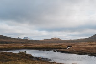 a small pond in a grassy field with mountains in the background