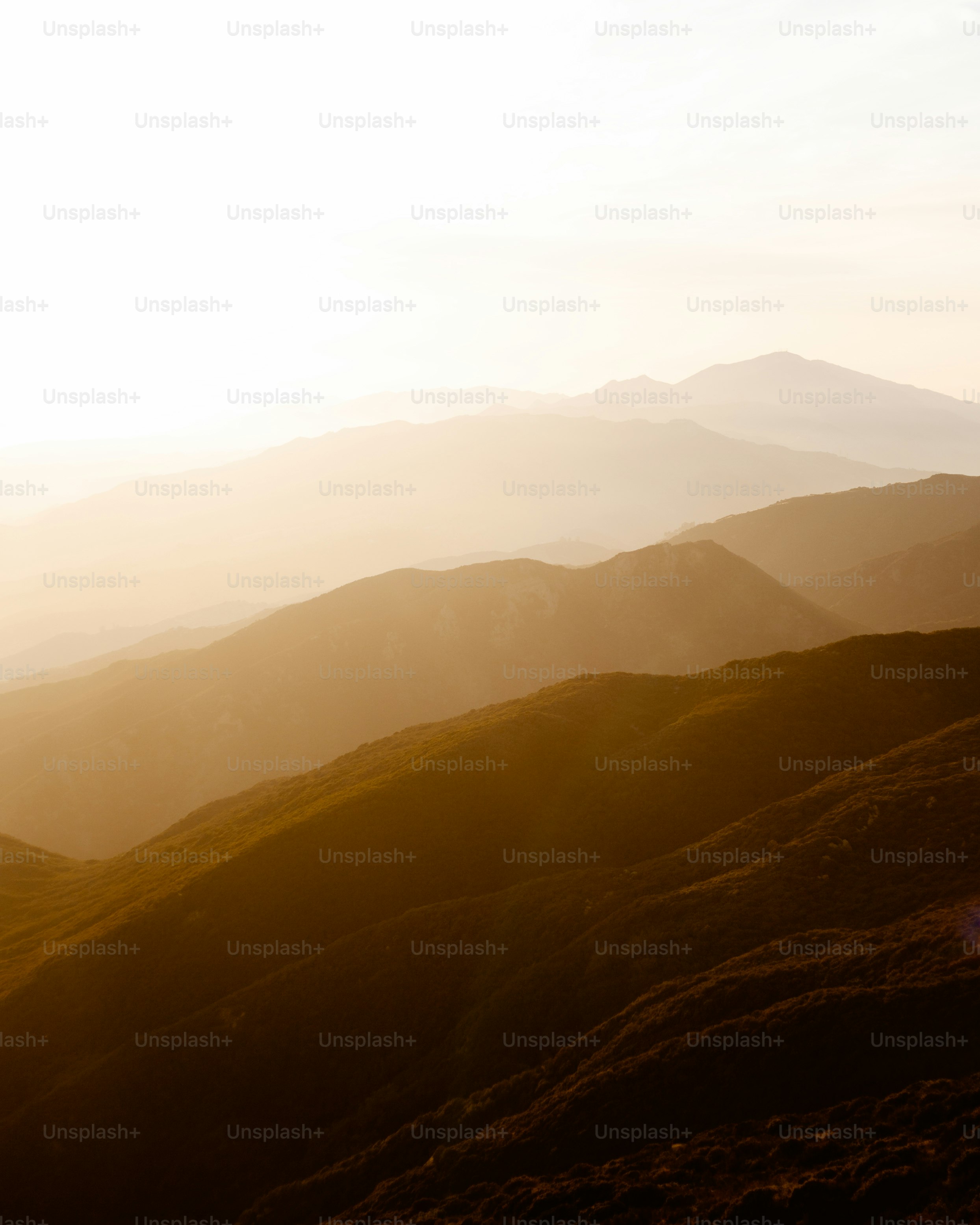 丘の上で馬に乗っている人