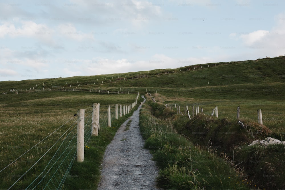 un chemin de terre menant à une colline herbeuse