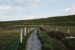 a dirt path leading to a grassy hill