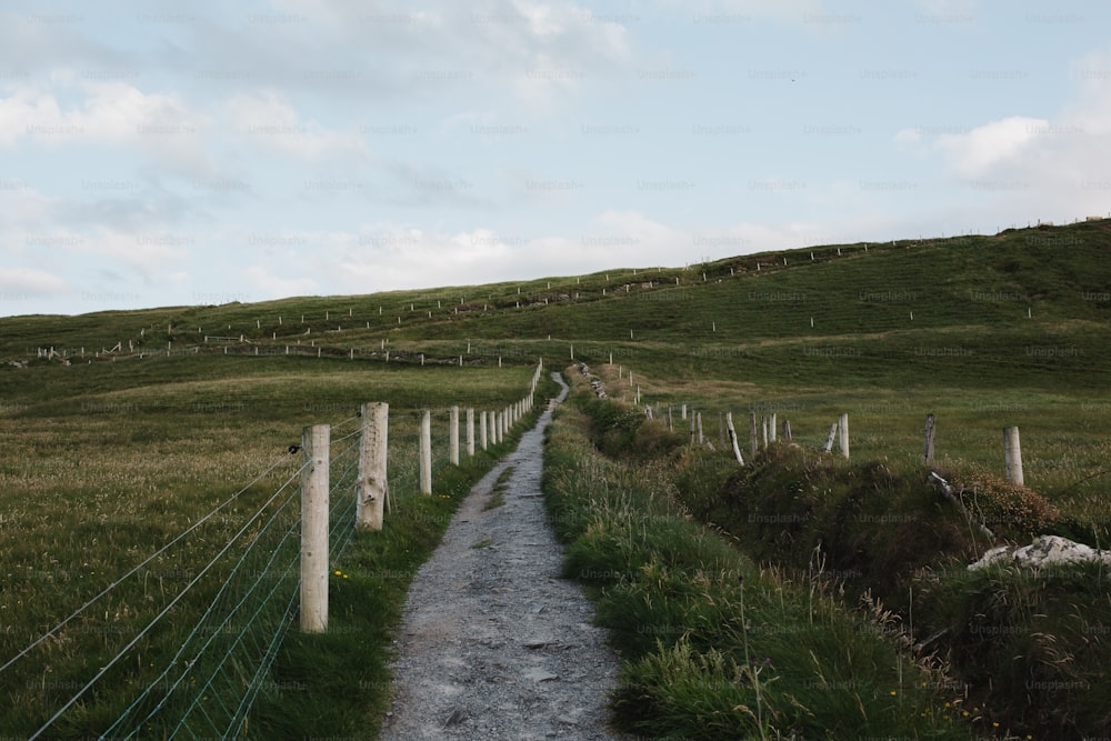 a dirt path leading to a grassy hill