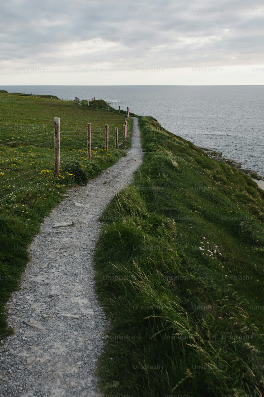 Un sentiero che porta all'oceano in una giornata nuvolosa