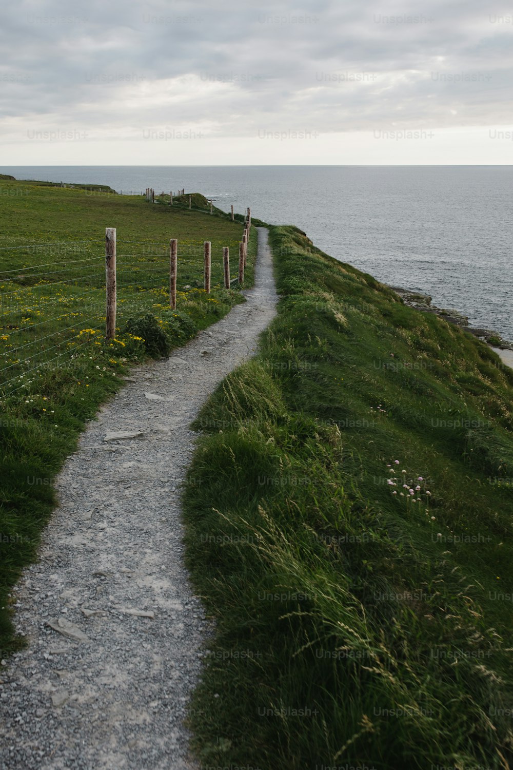 a path leading to the ocean on a cloudy day