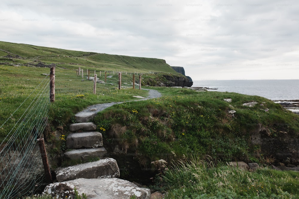 a path leading to a grassy hill next to a body of water