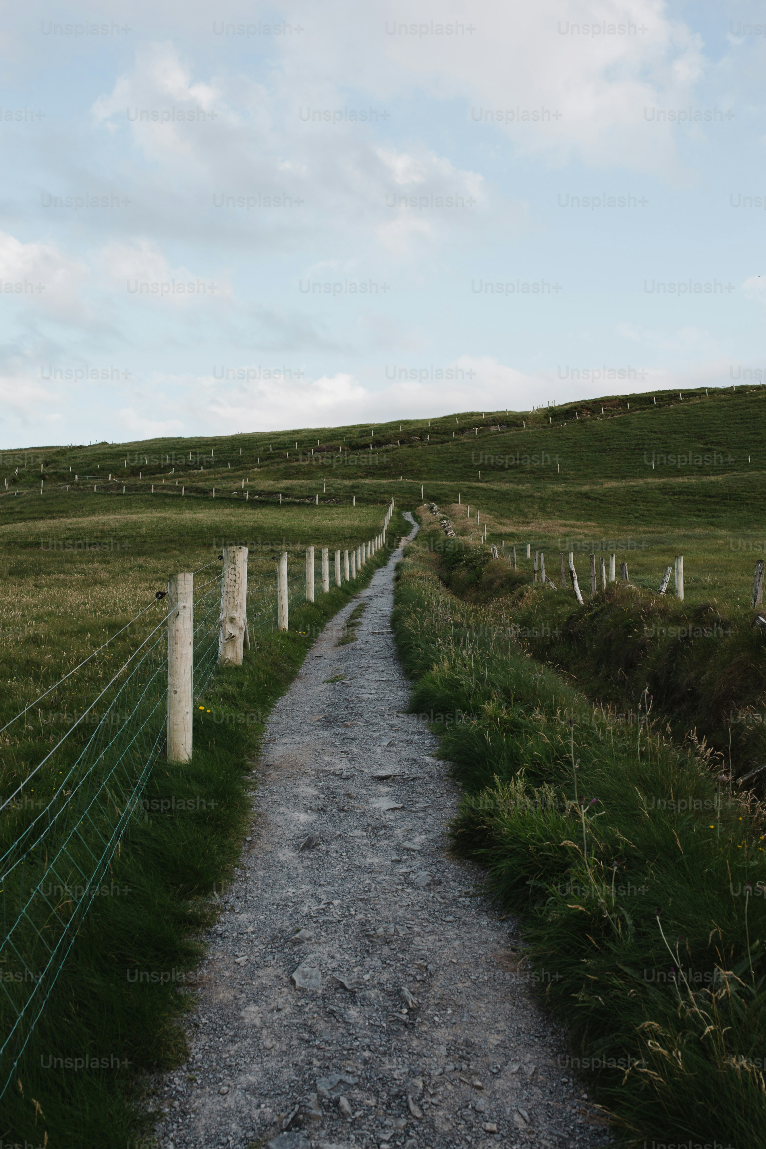 a dirt path leading to a grassy hill