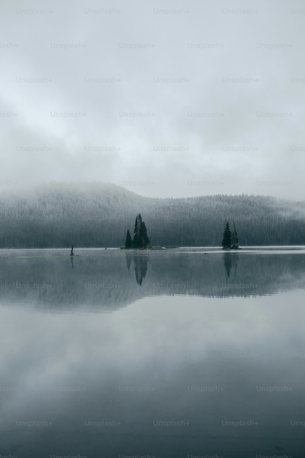 un grande specchio d'acqua circondato da una foresta