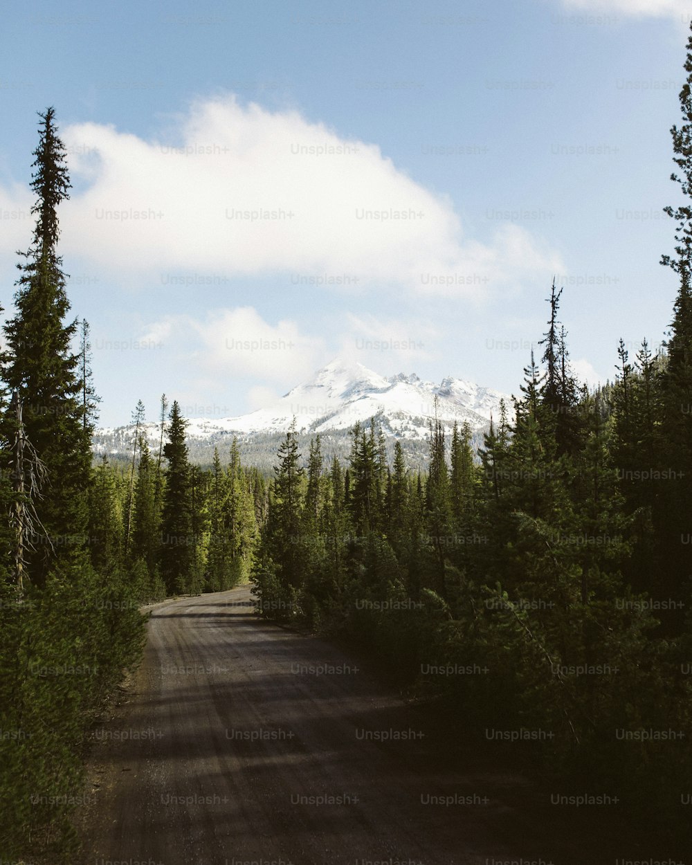 a dirt road surrounded by trees with a snow capped mountain in the background