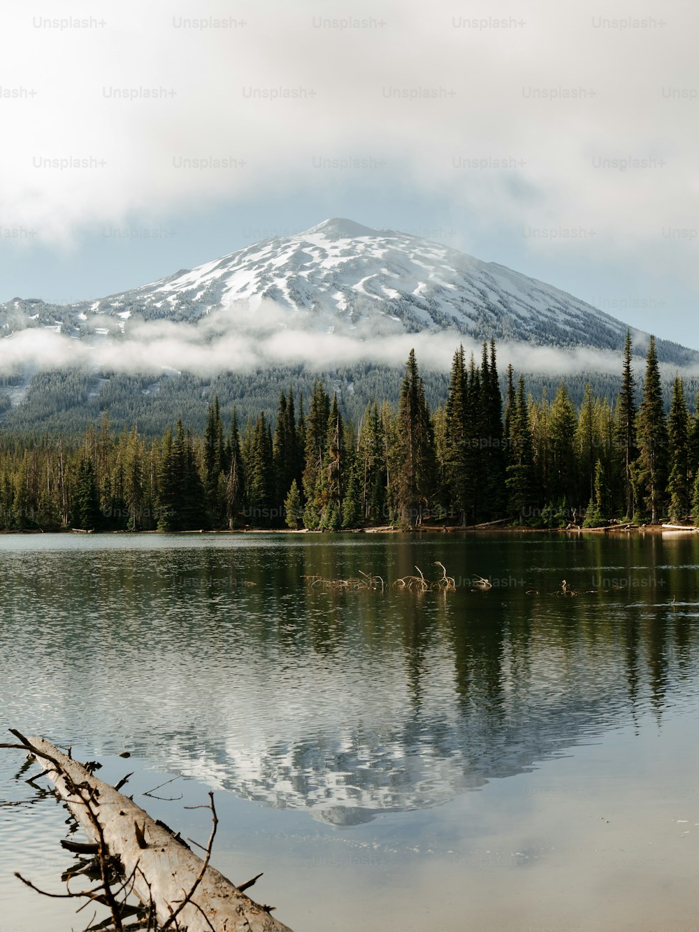 Une montagne est au loin avec un lac au premier plan