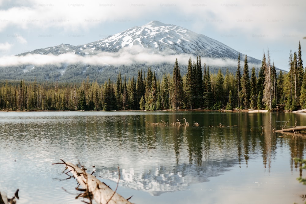 a mountain is in the distance with a lake in the foreground