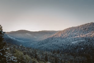 a view of a mountain range with trees in the foreground