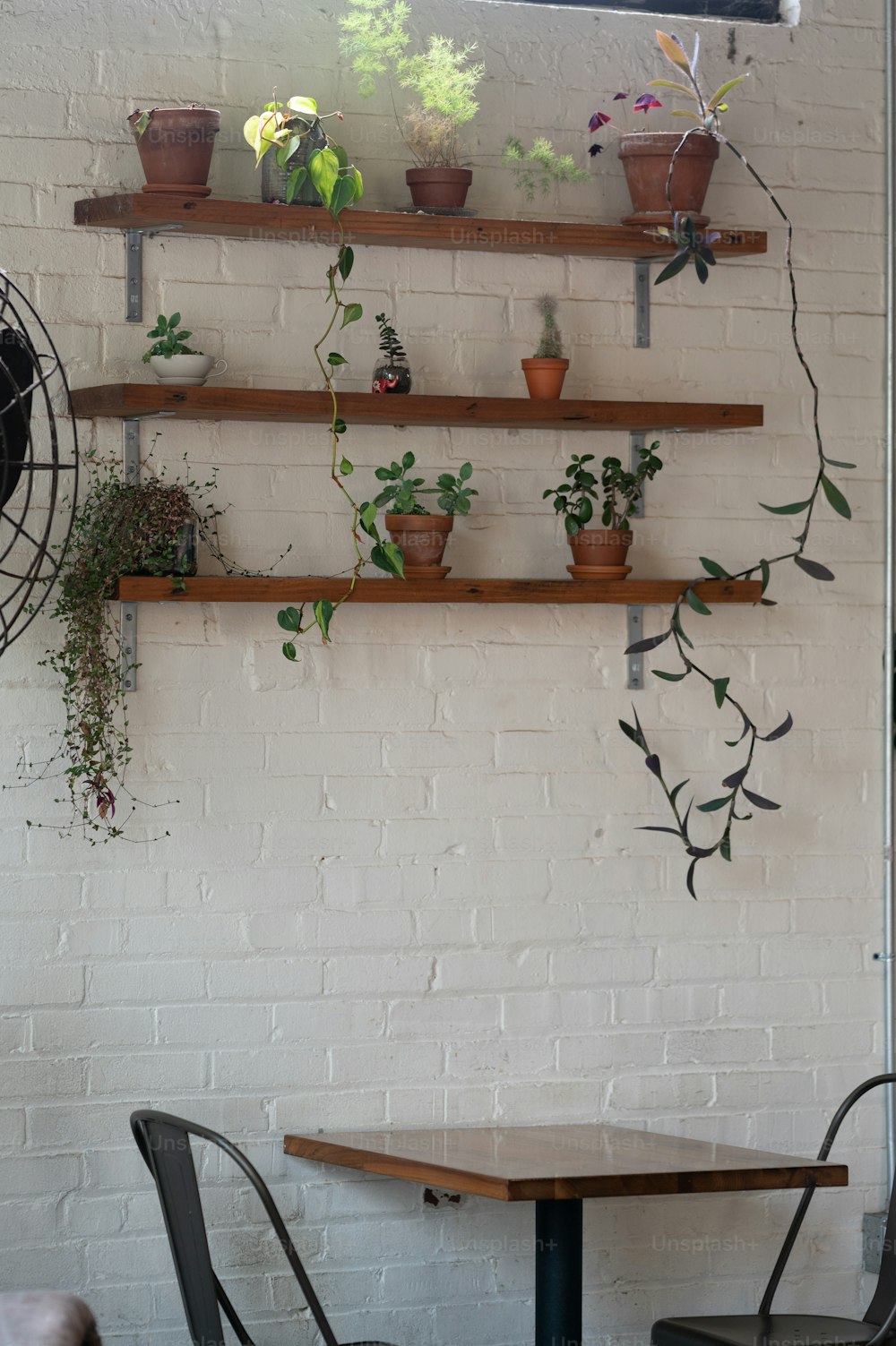una pared de ladrillo blanco con estantes llenos de plantas en macetas