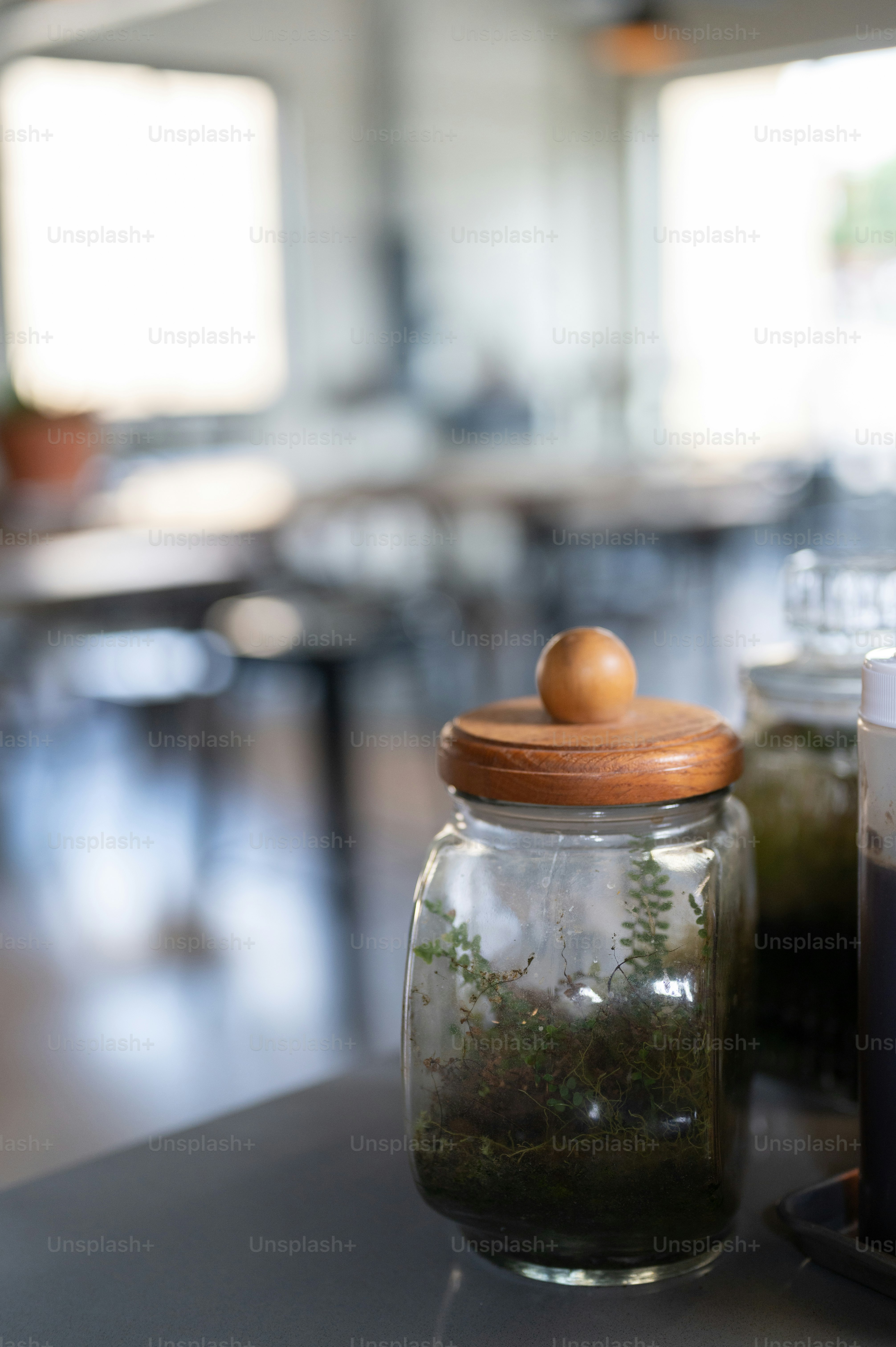 a glass jar filled with moss and a wooden lid