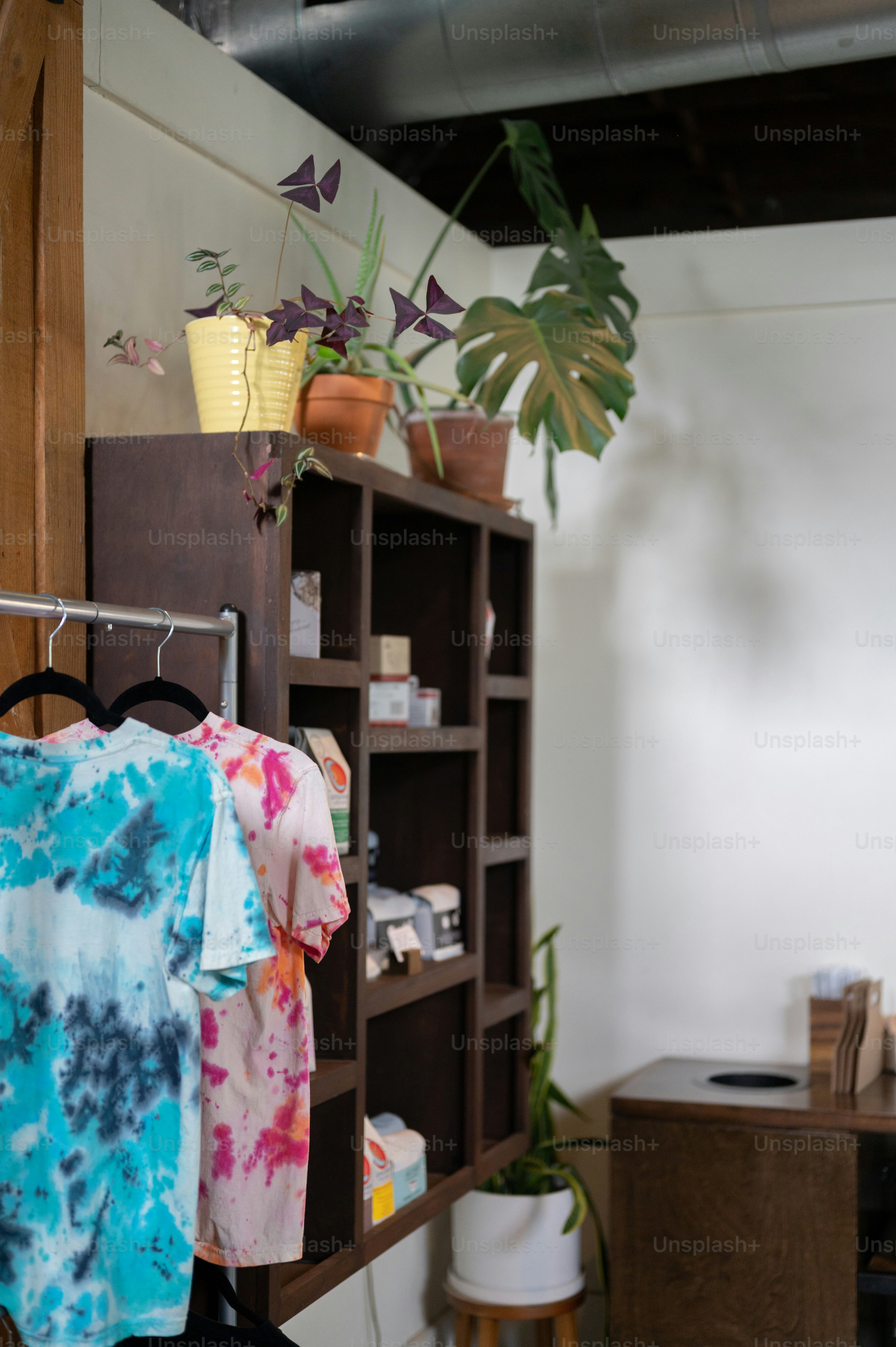 a room with a shelf and a plant on it