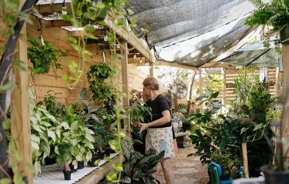 温室で植物の世話をしている女性