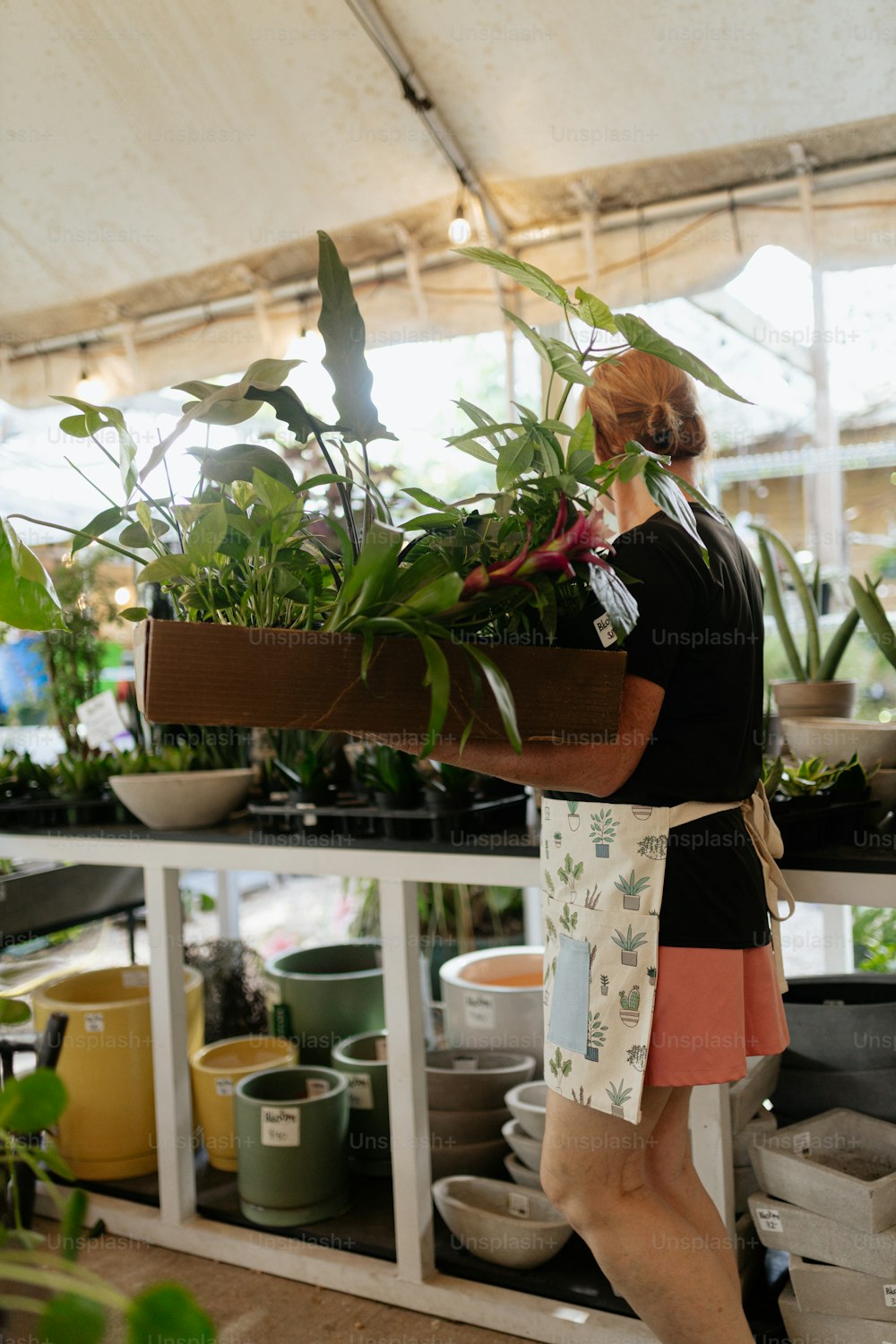 温室で植物のトレイを運ぶ女性