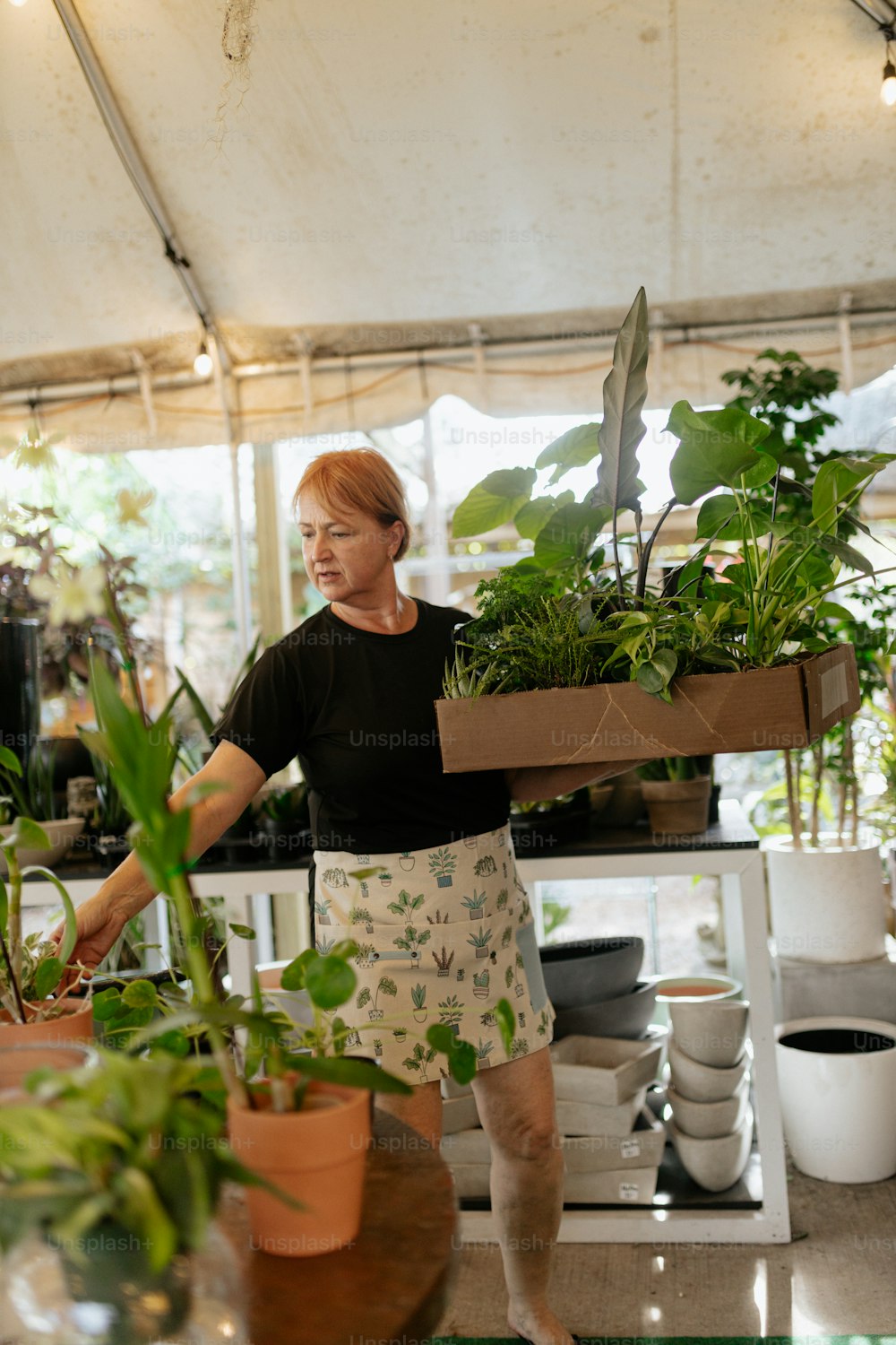 Una mujer llevando una caja de plantas en un invernadero