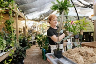 a woman holding a potted plant in a greenhouse