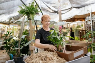 a woman holding a potted plant in a box