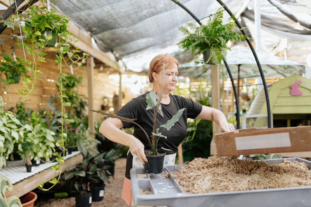 a woman in a greenhouse tending to plants