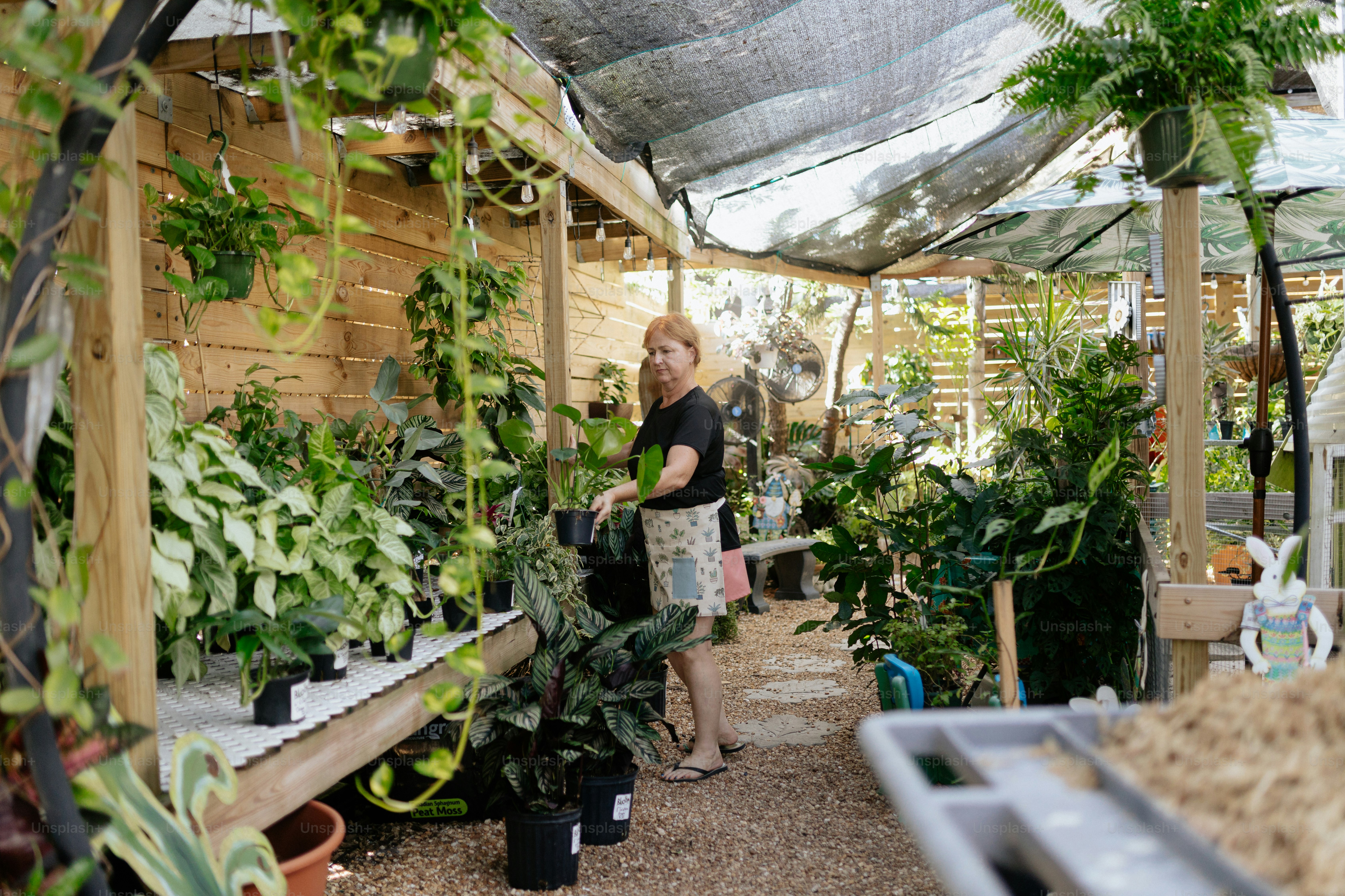 A woman standing in a greenhouse with lots of plants photo – Gardening ...