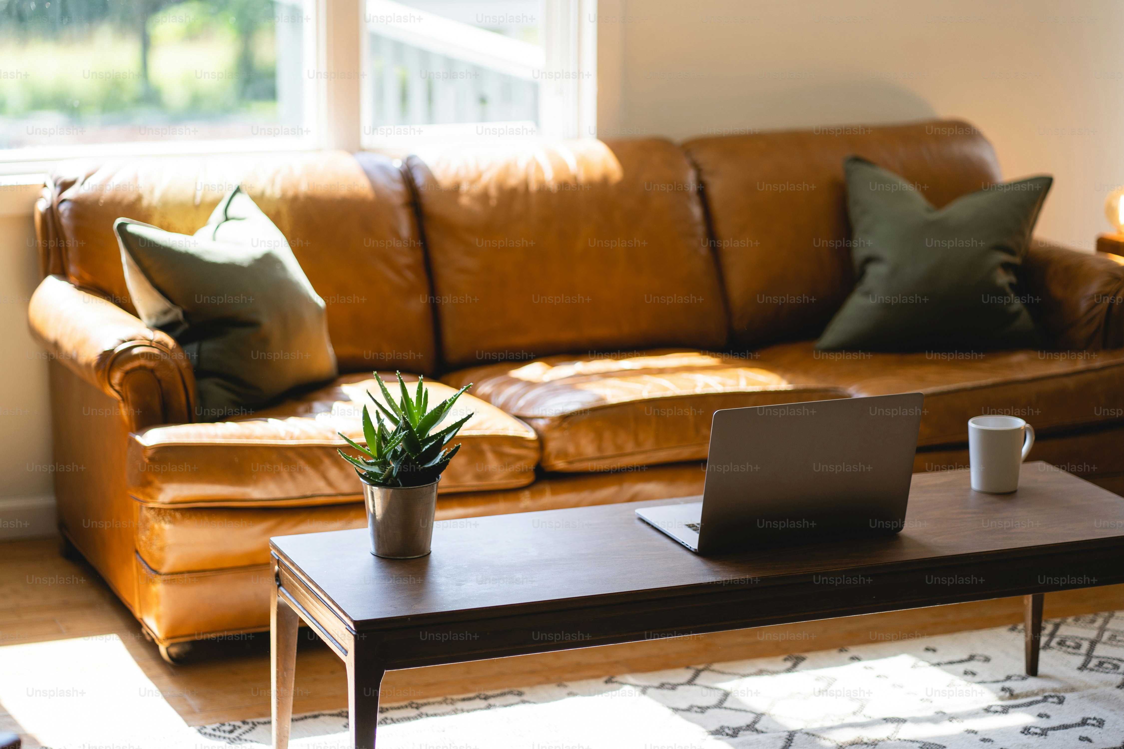 a living room with a couch, coffee table and a laptop