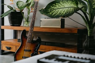 a guitar sitting on top of a wooden shelf next to a plant