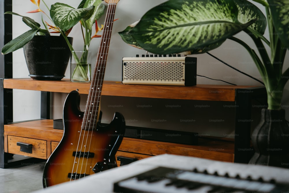 a guitar sitting on top of a wooden shelf next to a plant