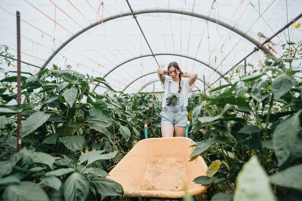 a woman standing on a wheelbarrow in a greenhouse