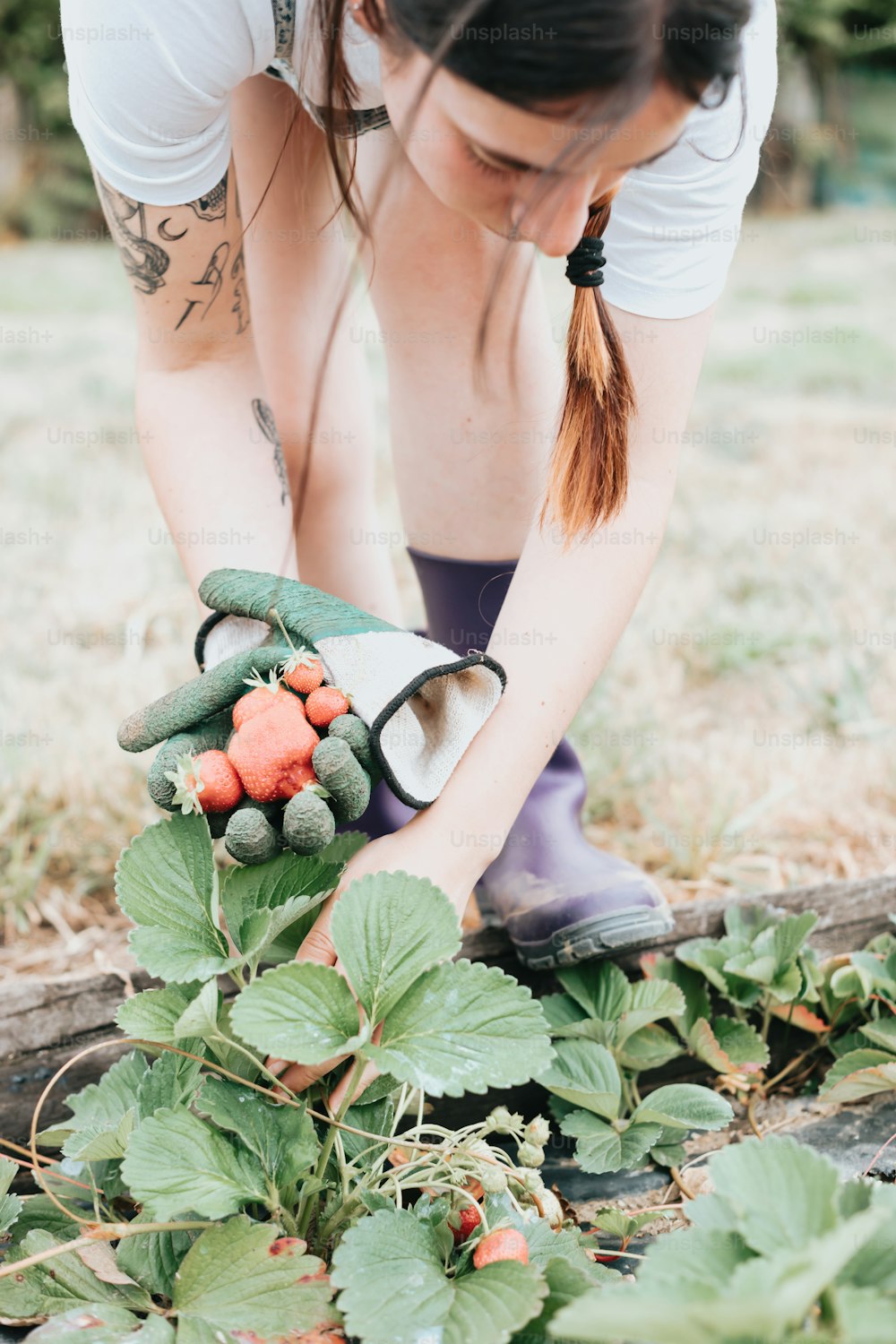 Eine Frau pflückt Karotten aus einem Garten