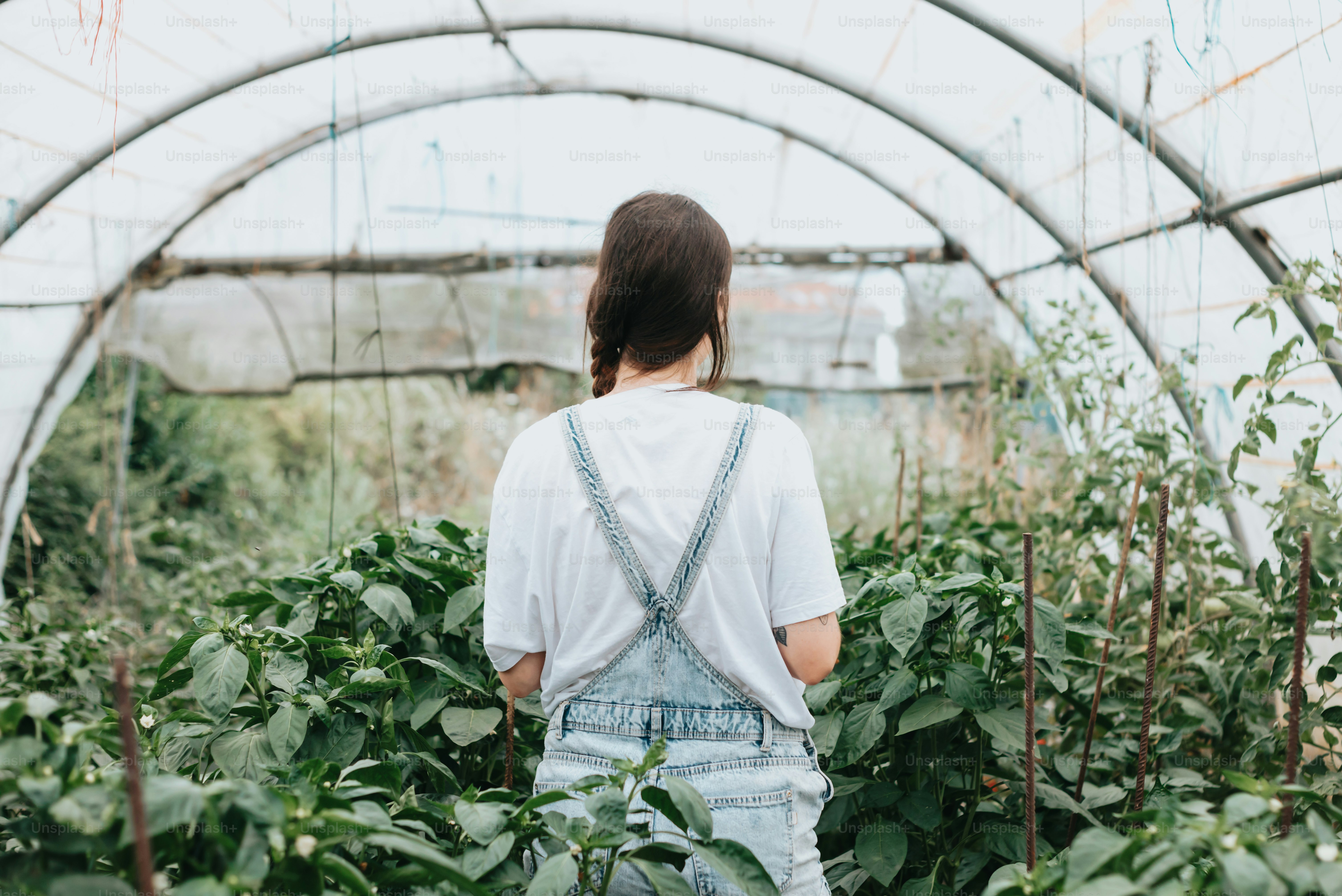 uma mulher em pé em uma estufa olhando para as plantas