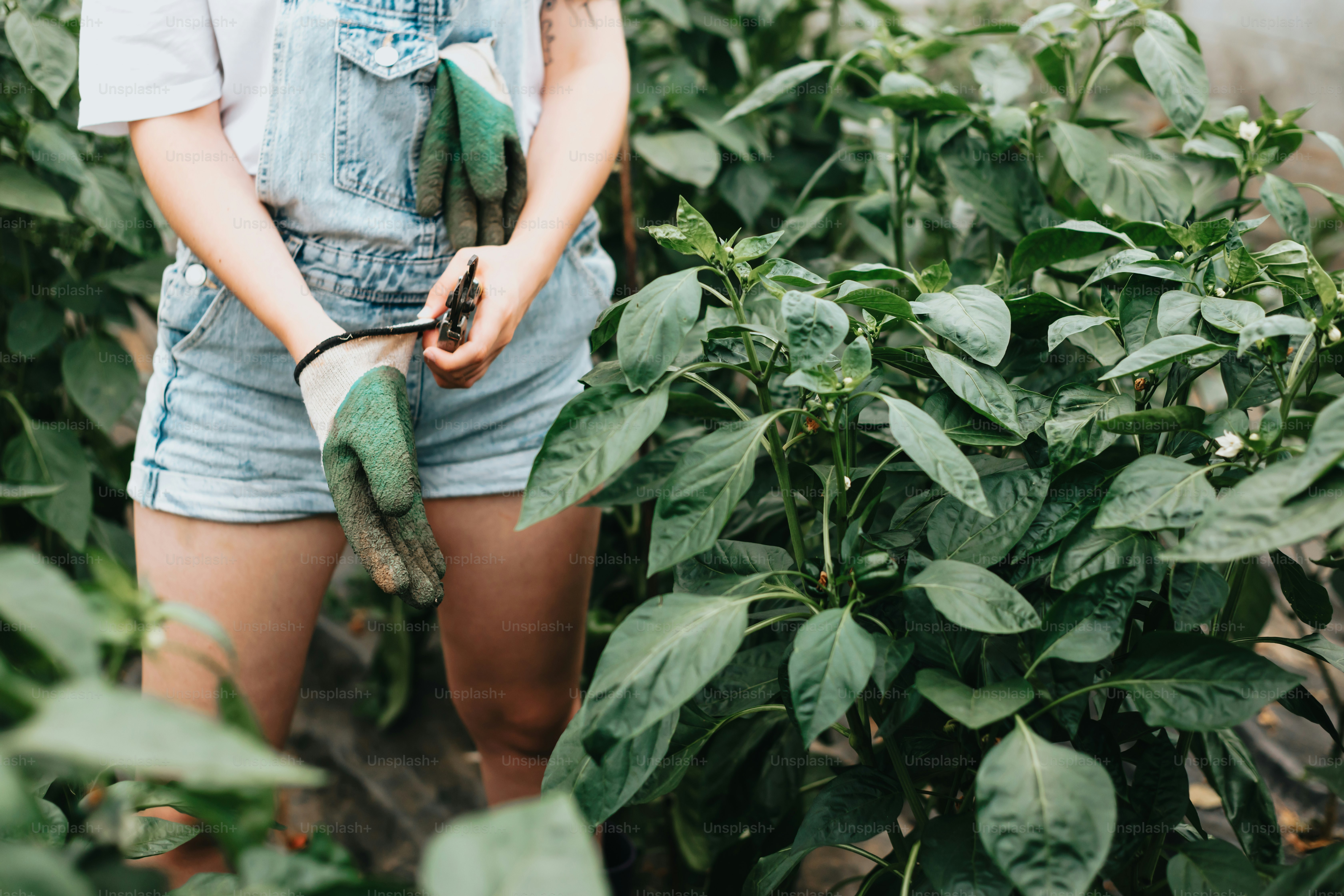 a woman in overalls holding a snake in her hands