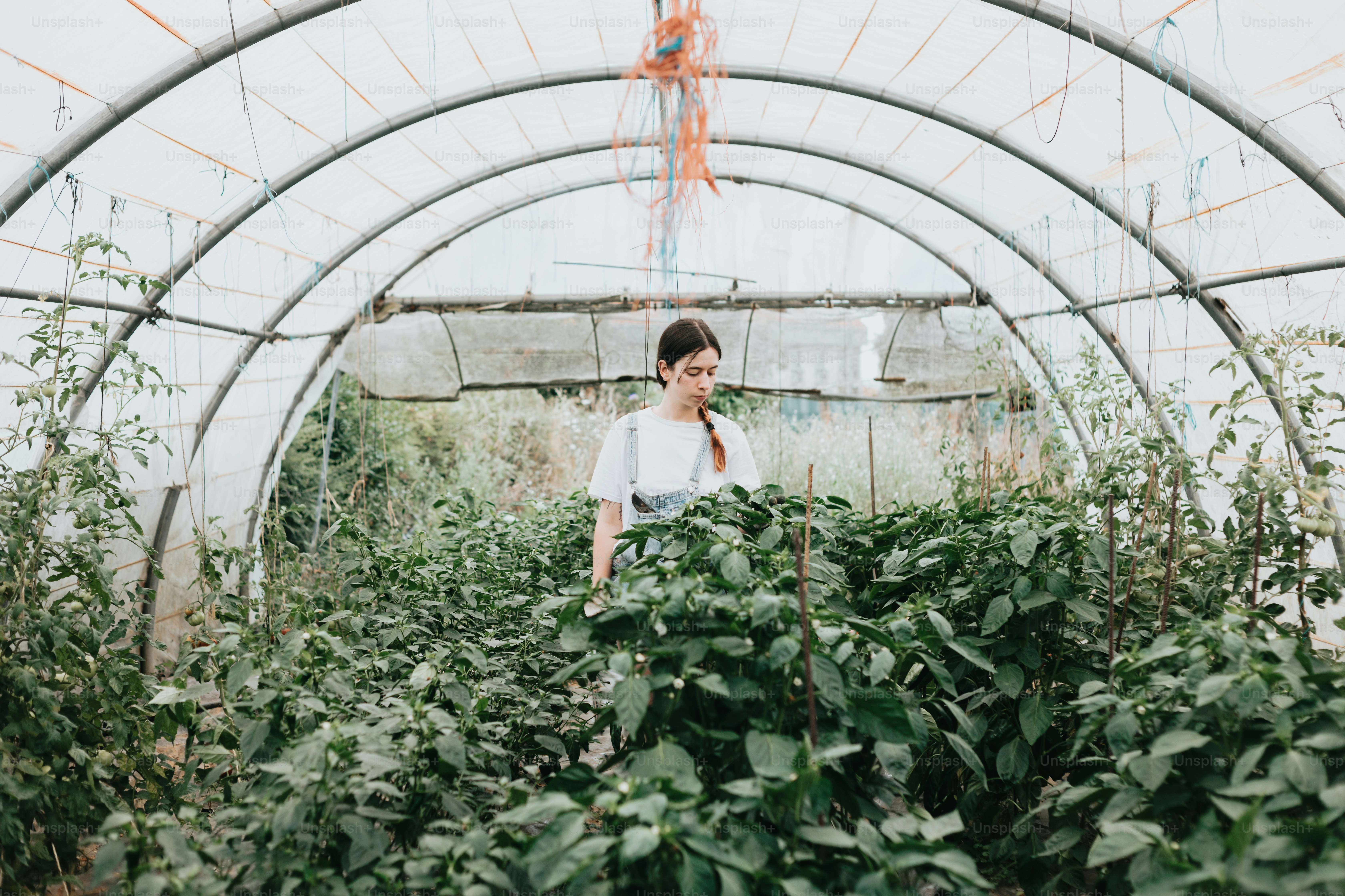 uma mulher em pé em uma estufa cercada por plantas