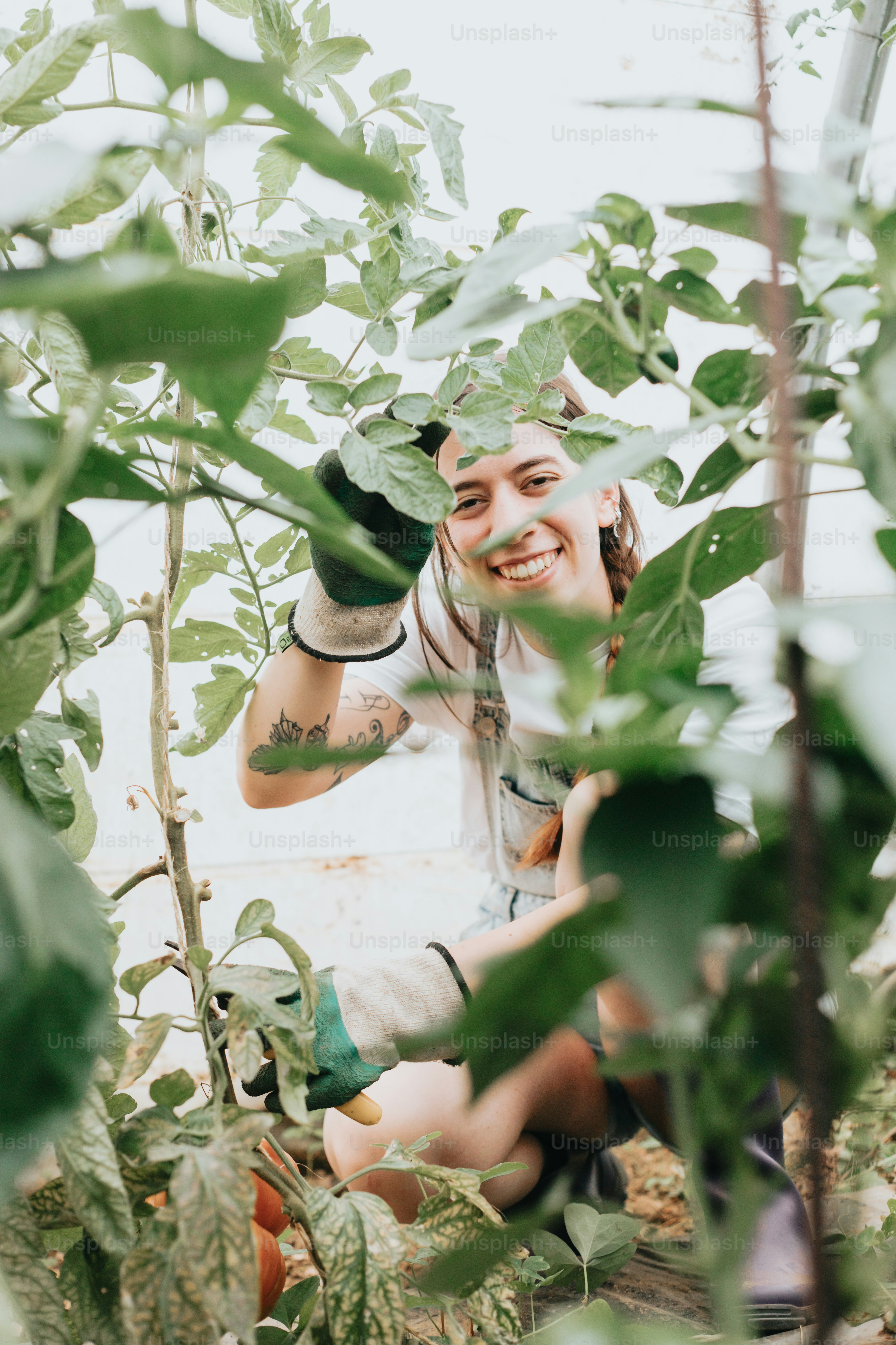 uma mulher ajoelhada no meio de uma planta