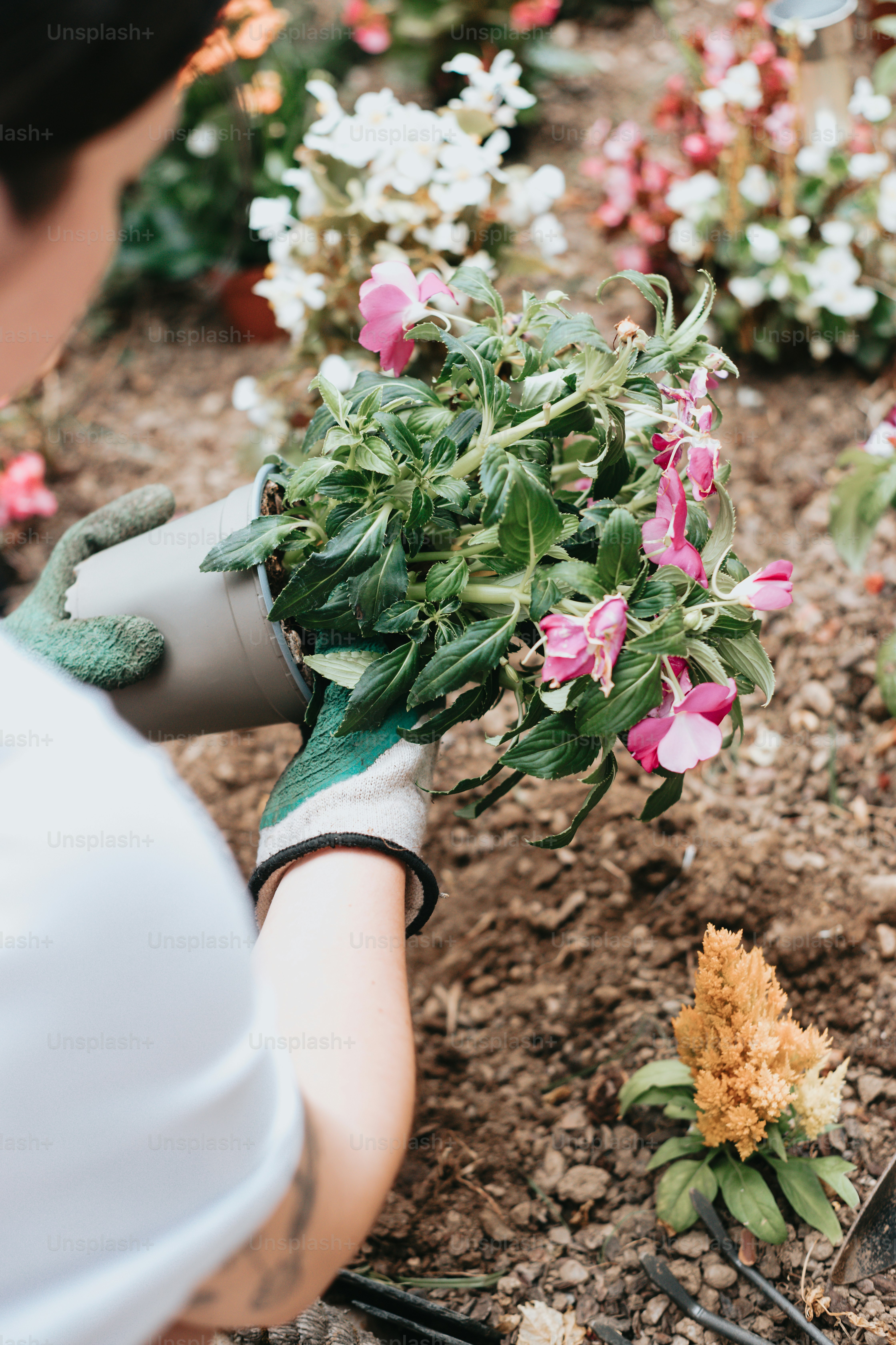 uma pessoa segurando um ramo de flores em suas mãos