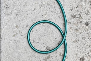 a close up of a hose laying on the ground
