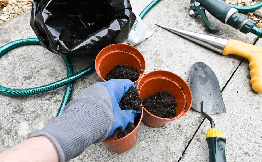 une personne avec des gants de jardinage et des outils de jardinage