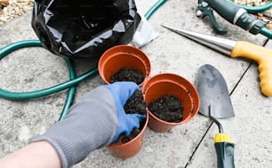a person with gardening gloves and gardening tools