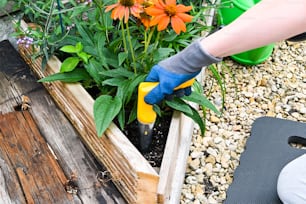 uma pessoa em um jardim segurando uma ferramenta de jardinagem
