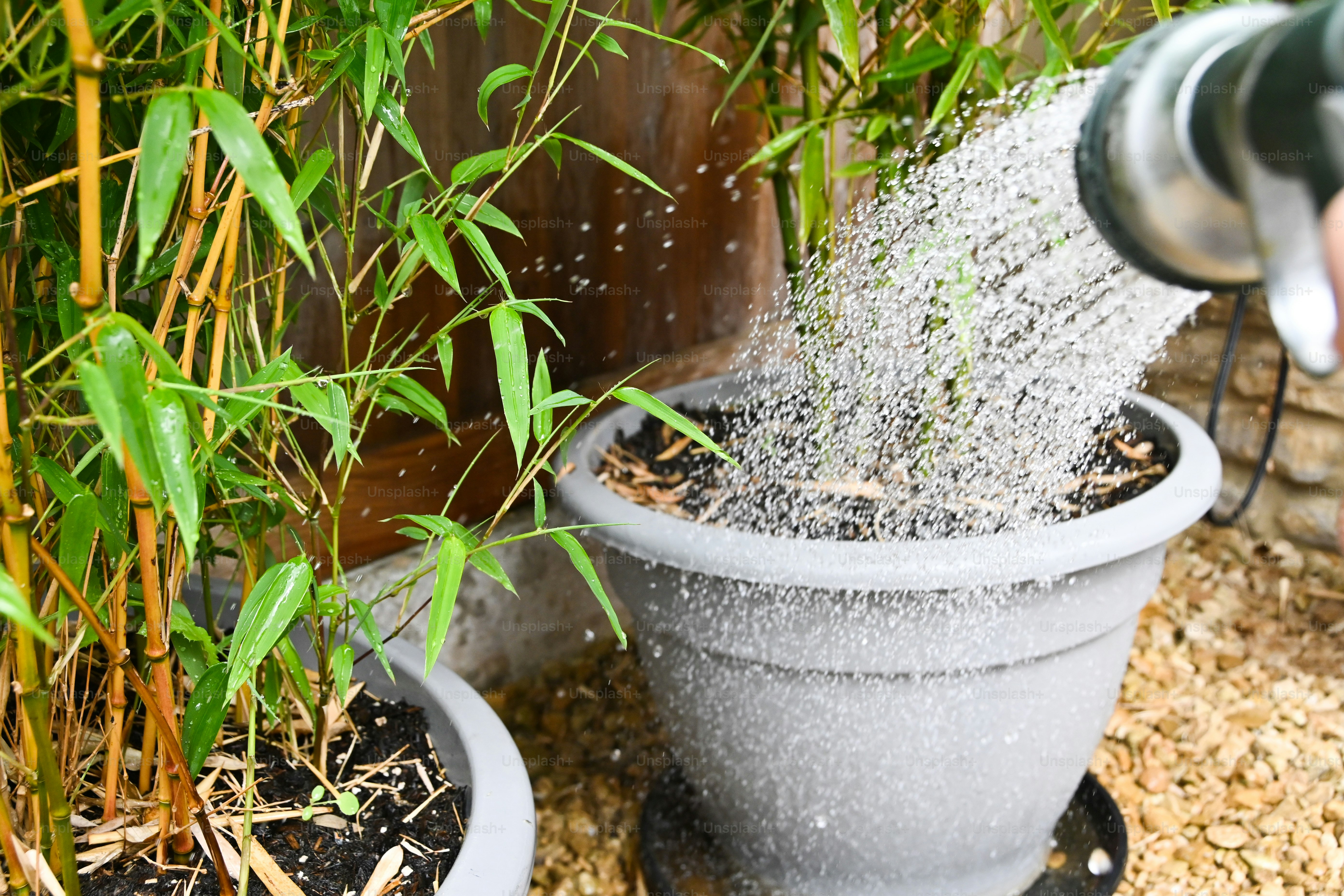 a person spraying water into a potted plant