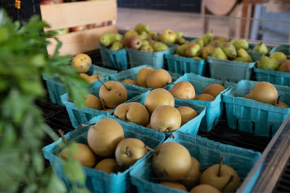 un racimo de fruta que están sentados en un contenedor