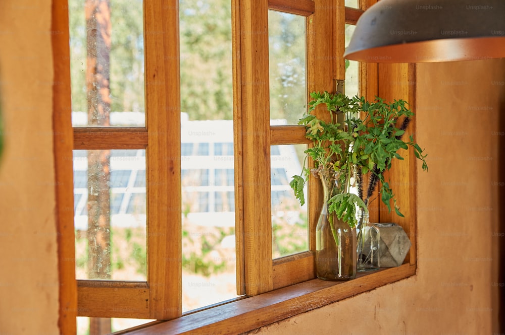 a plant in a vase on a window sill