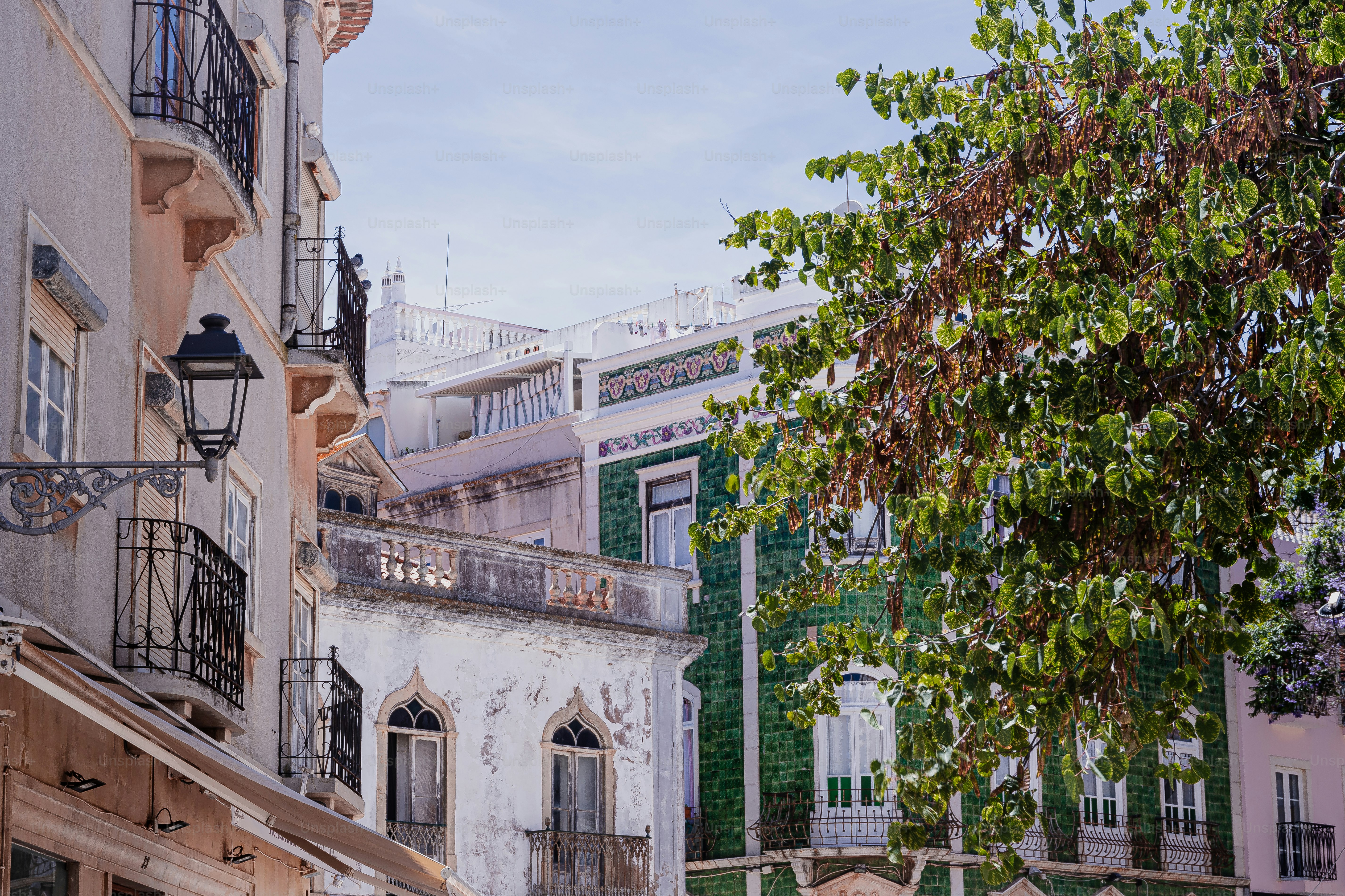 a street scene with buildings and a tree in the foreground