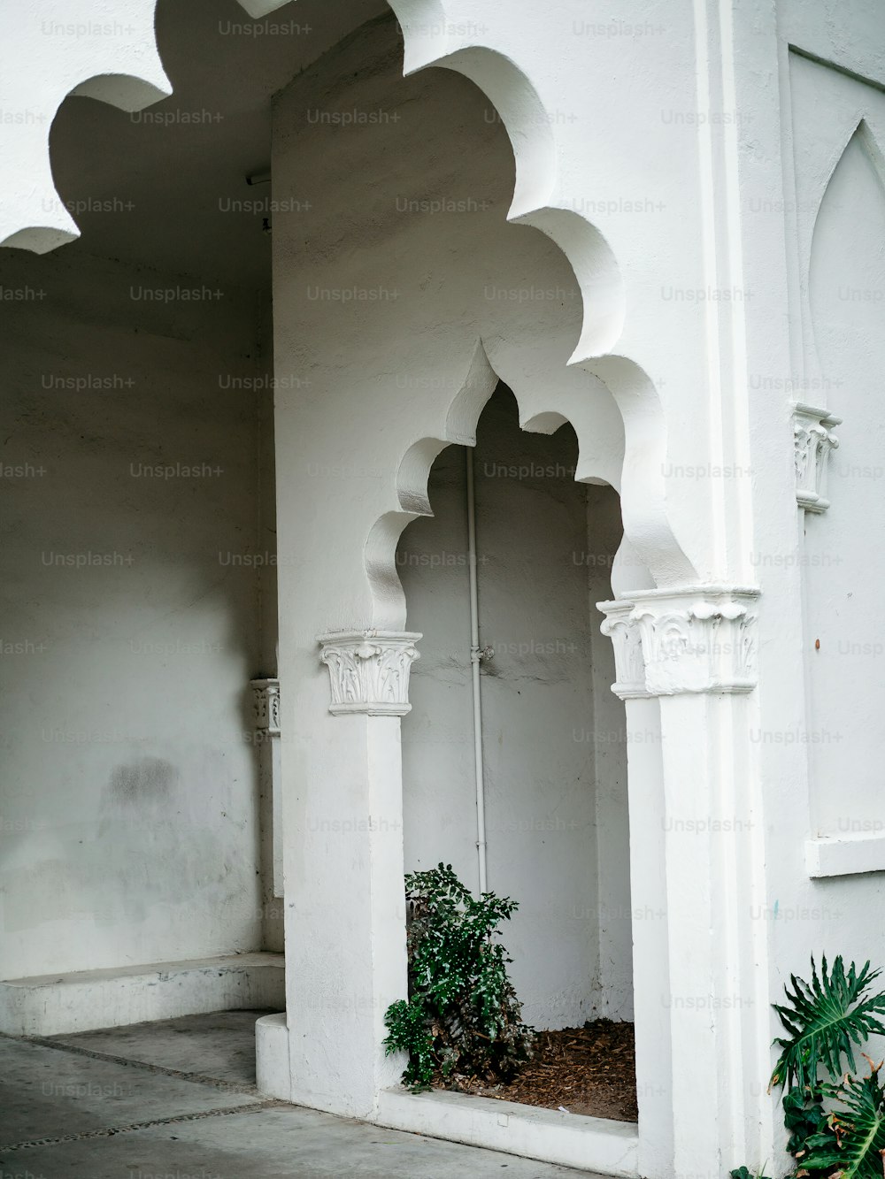 a white building with arches and a potted plant