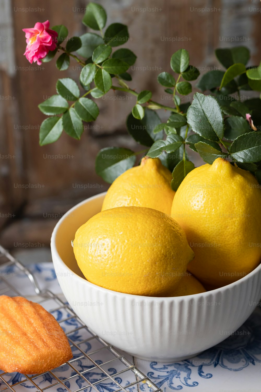 a bowl of lemons on a table next to a potted plant