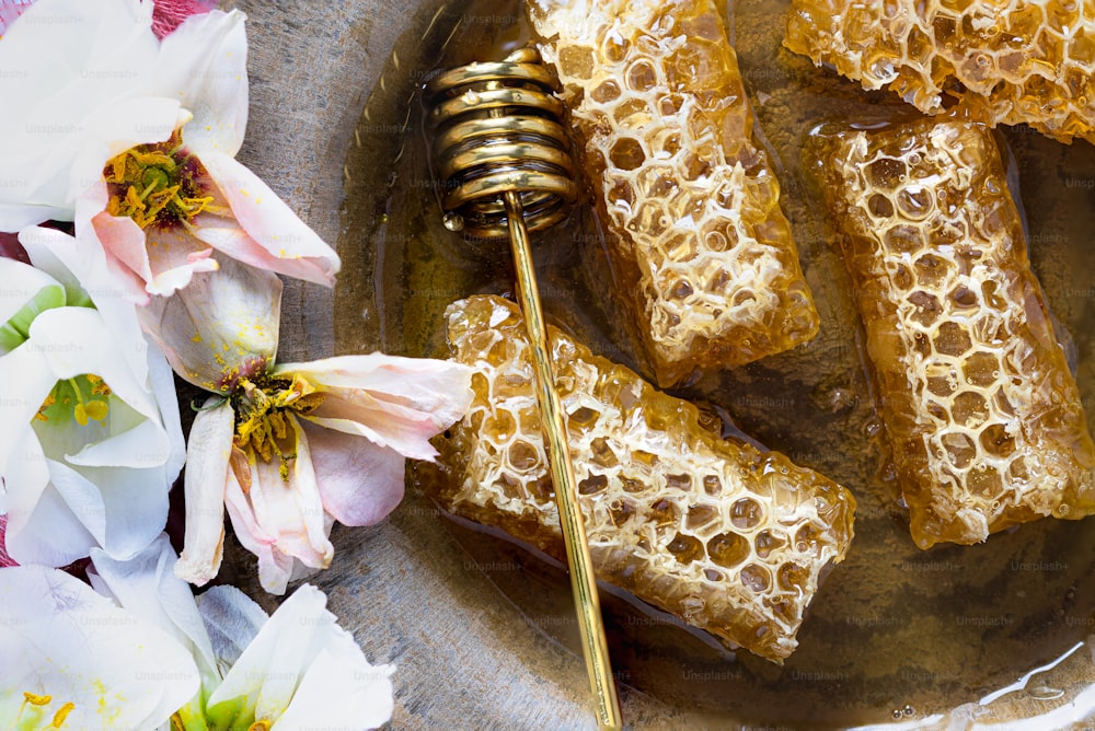 100+ Imágenes de panal de abeja  Descargar imágenes gratis en Unsplash