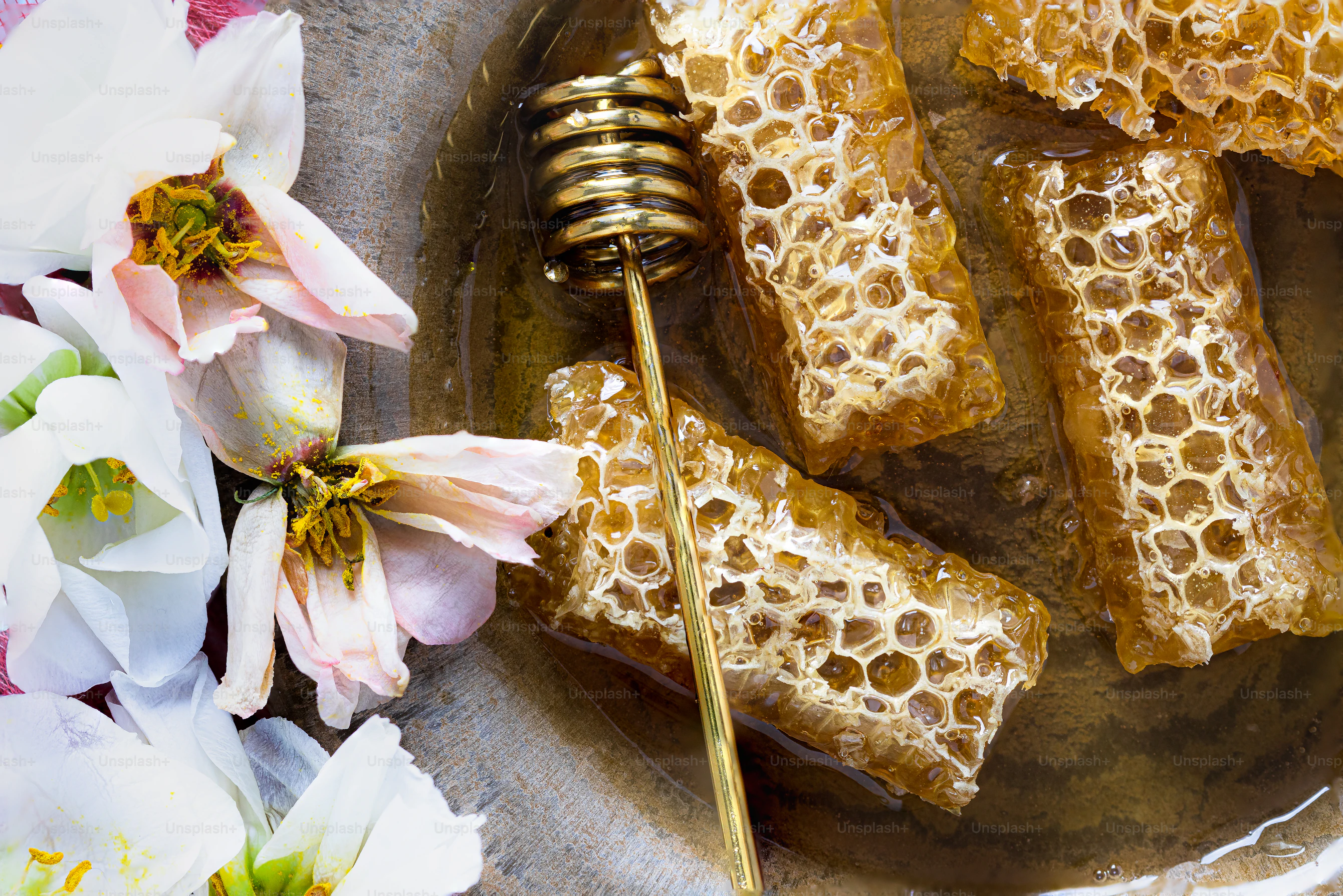 Madu Murni "Hutan Desa"