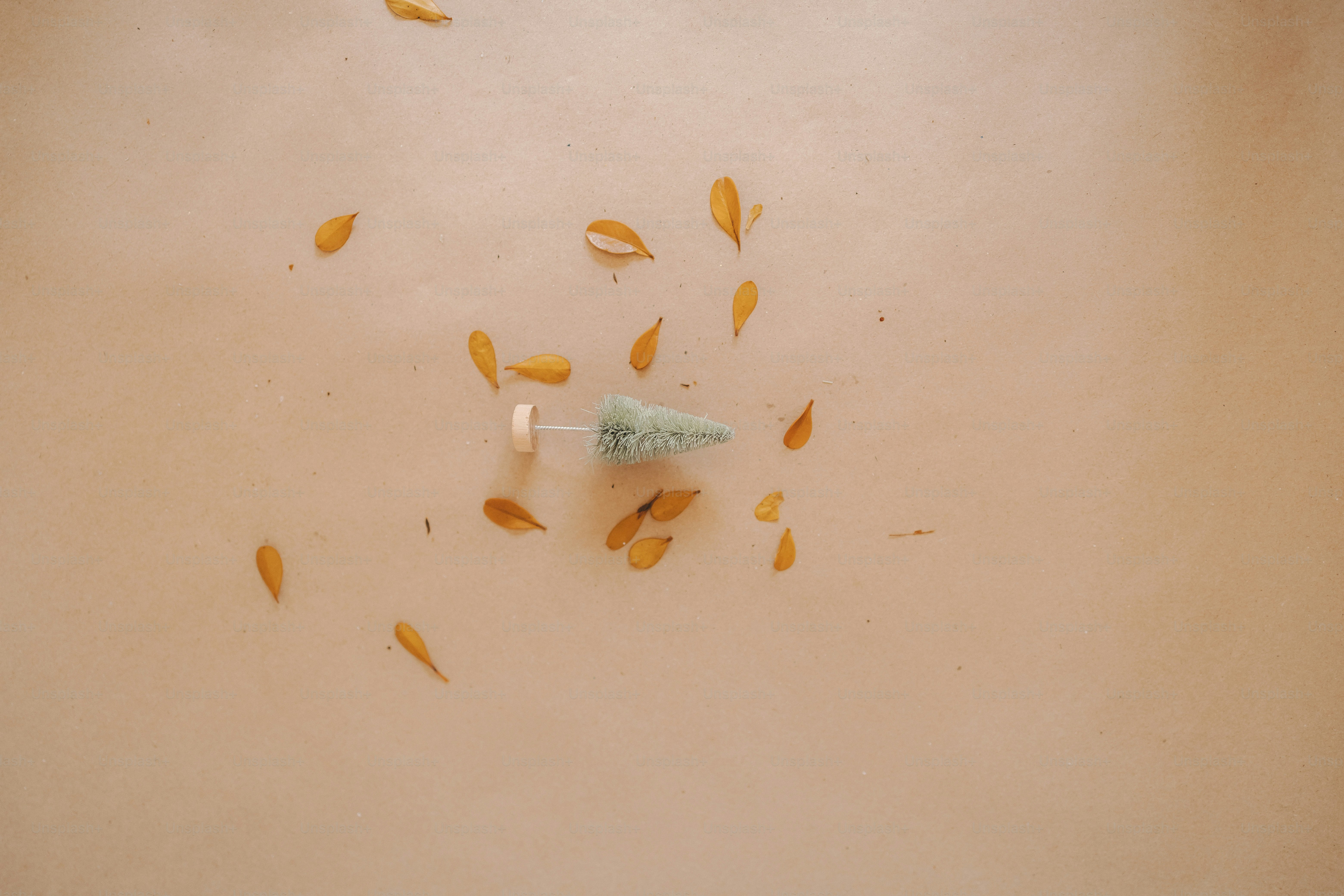 uma mesa coberta com um vaso branco cheio de flores amarelas