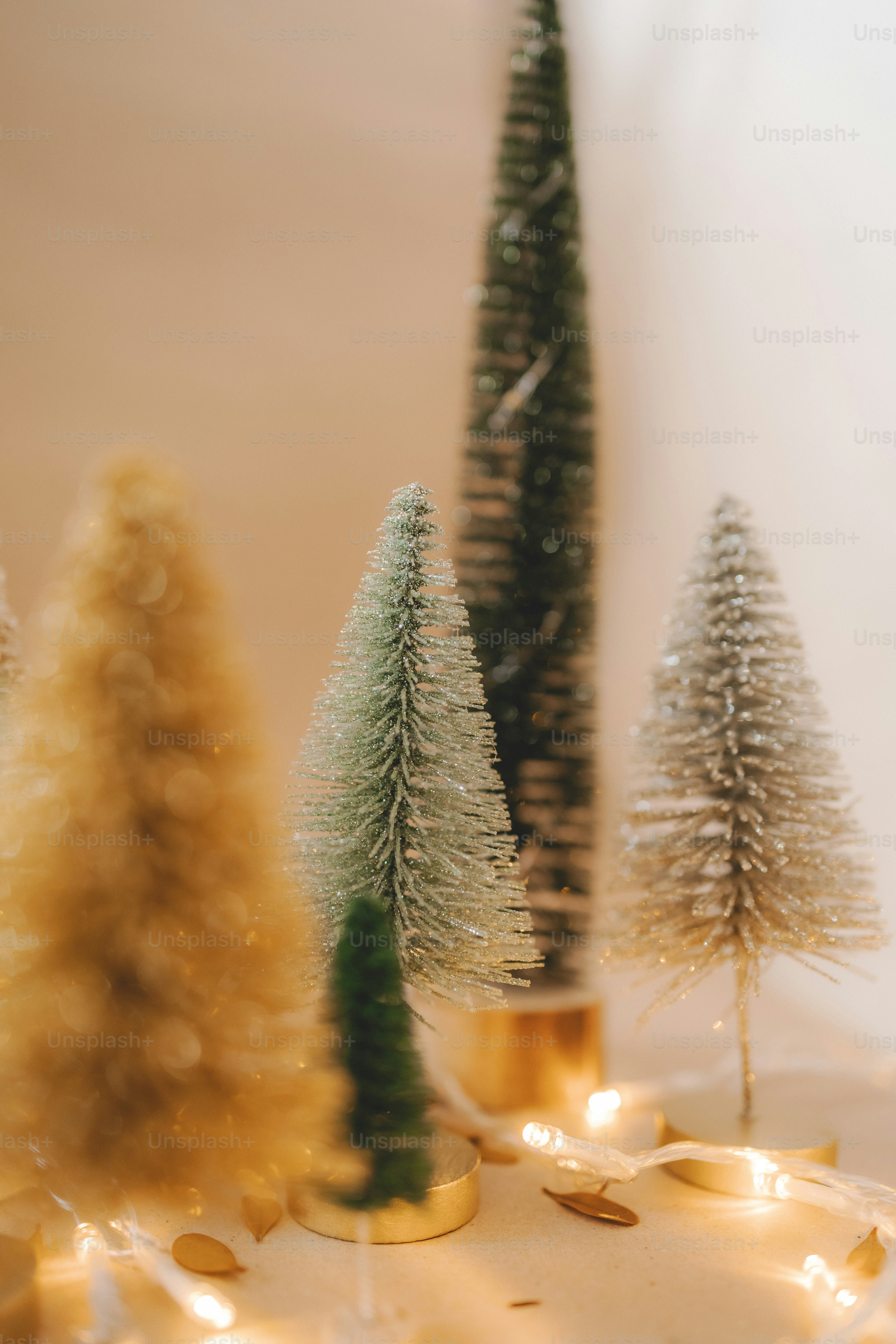 Un grupo de pequeños árboles de Navidad sentados encima de una mesa foto –  Imagen de Árbol de Navidad en Unsplash, image size:3000x4500