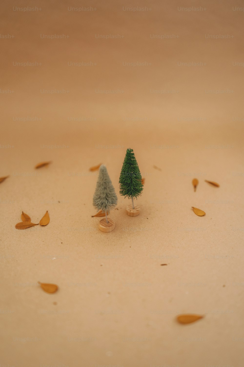 two tiny trees sitting on top of a table